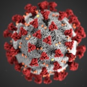 Renderbild eines SARS-CoV2-Virus